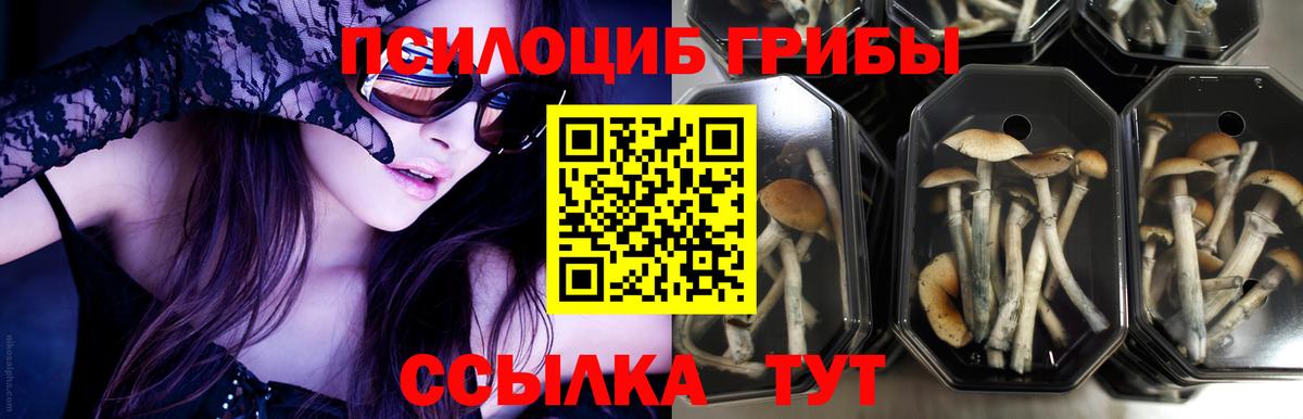 где купить наркотик  Вход с VPN  Еманжелинск  Галлюциногенные грибы прущие грибы  Галлюциногенные грибы мухоморы 