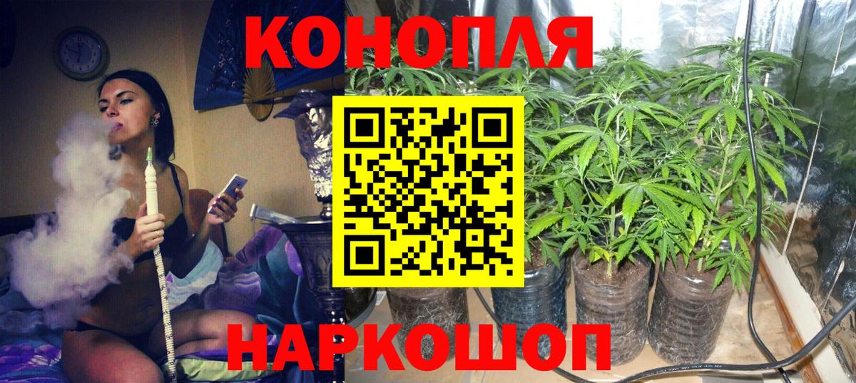 Бошки марихуана конопля Еманжелинск
